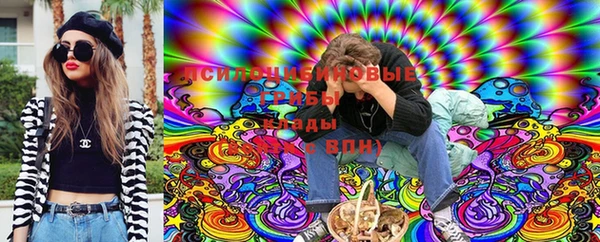 прущие грибы Верея